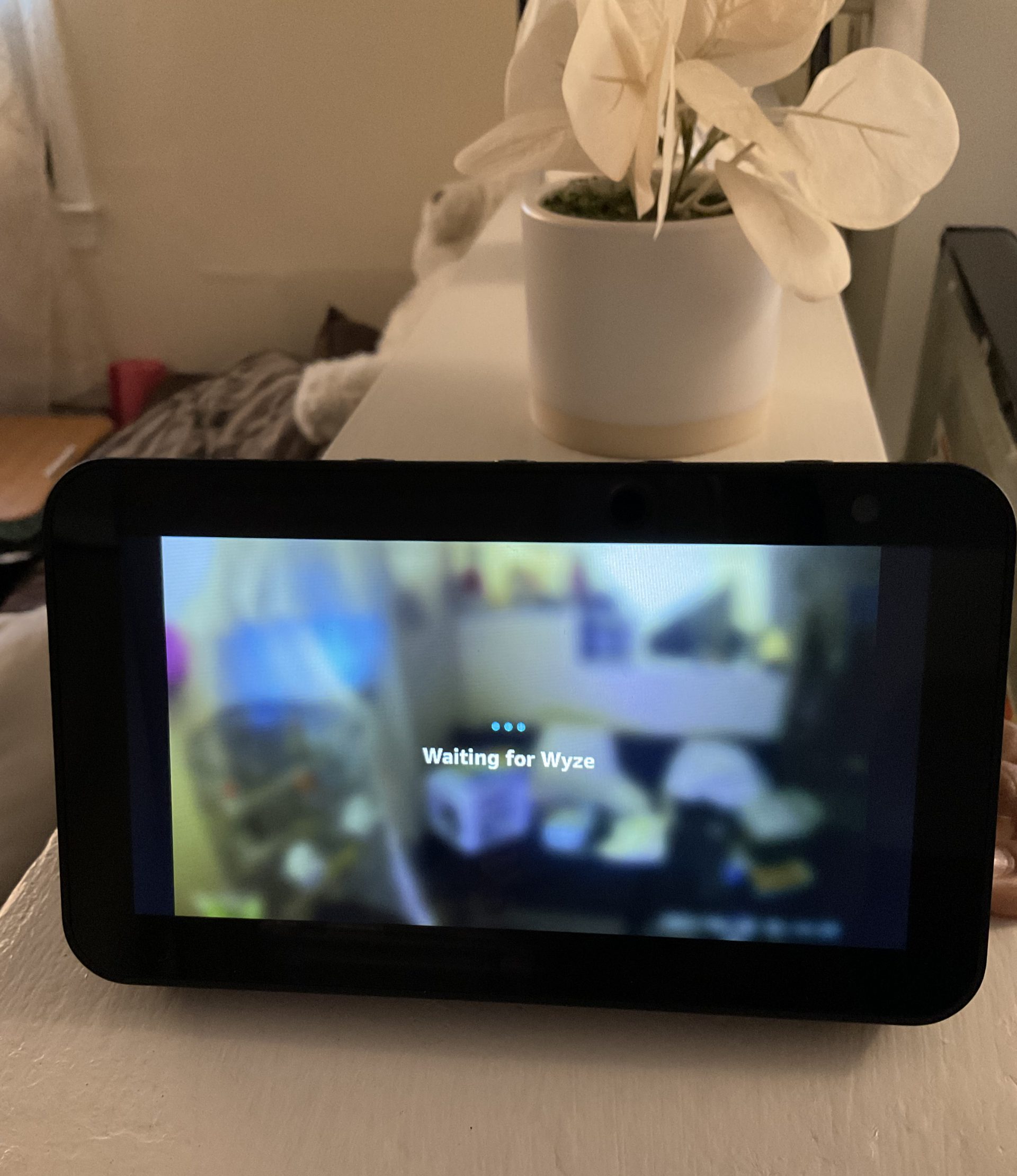 Vorteile der Verwendung von Amazon Echo Show als Sicherheitskamera