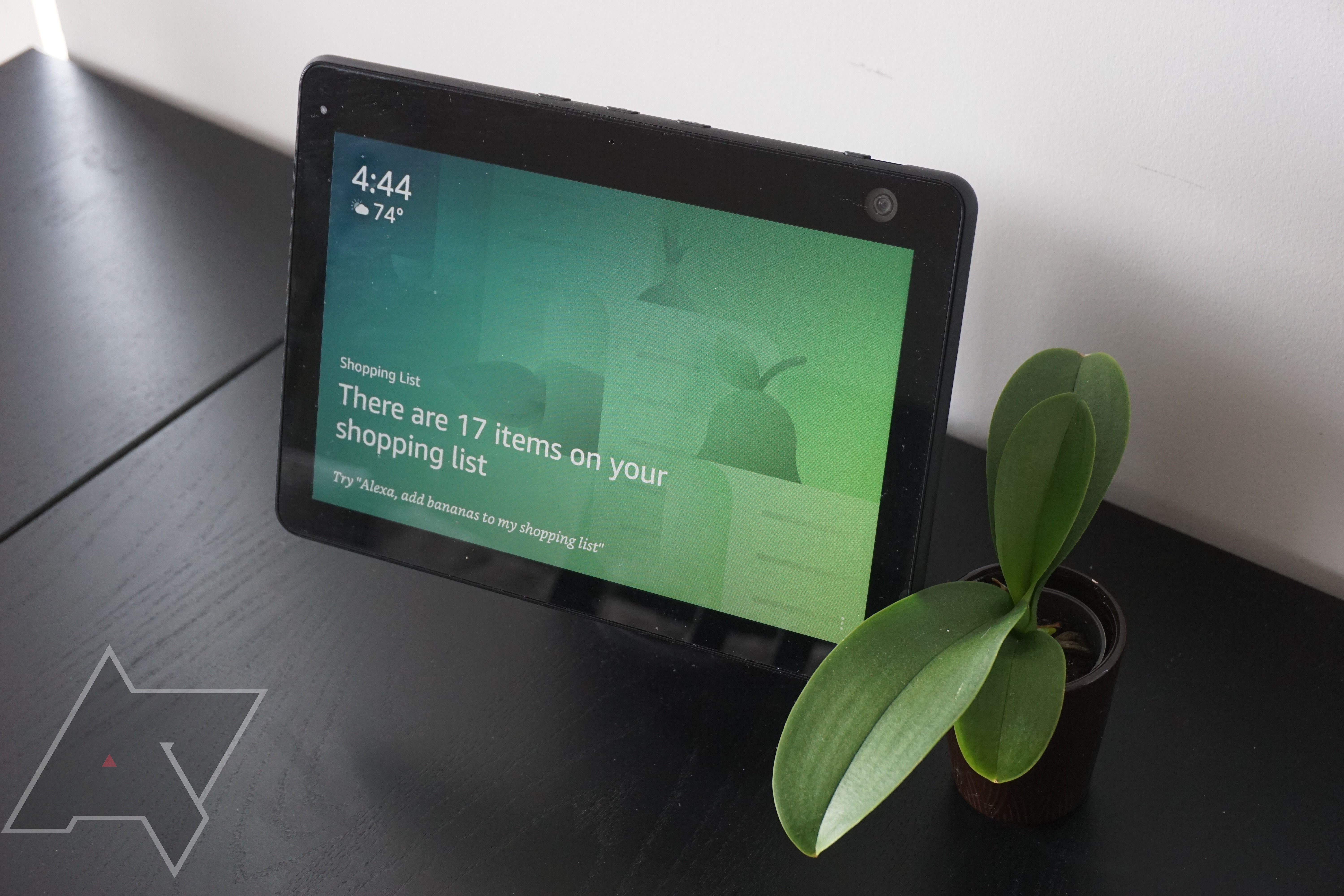 Vorteile Der Verwendung Des Echo Show Als Sicherheitskamera